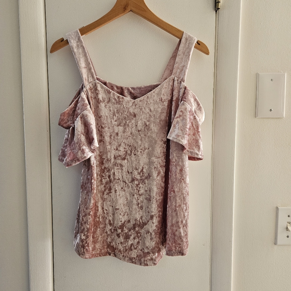 Francescas Pink Velvet Top